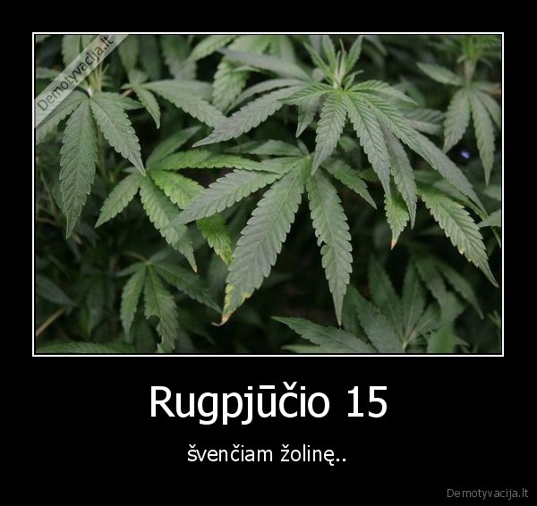 Rugpjūčio 15 - švenčiam žolinę..
