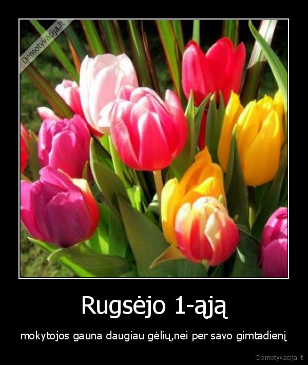 Rugsėjo 1-ąją - mokytojos gauna daugiau gėlių,nei per savo gimtadienį