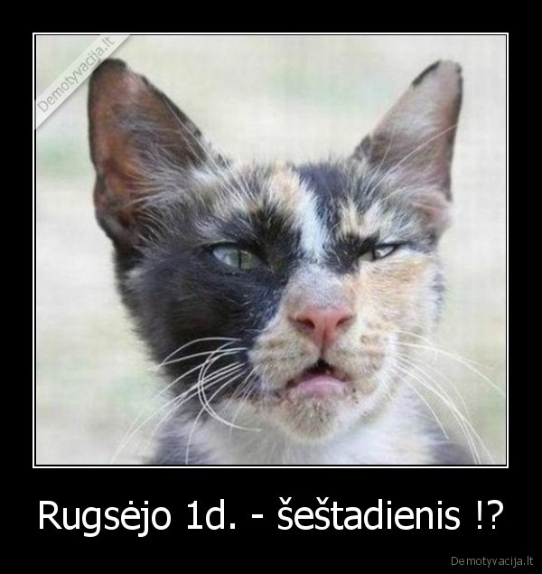 Rugsėjo 1d. - šeštadienis !? - 