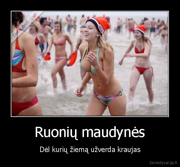 Ruonių maudynės - Dėl kurių žiemą užverda kraujas