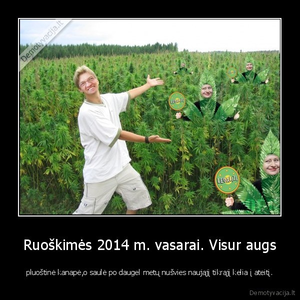 Ruoškimės 2014 m. vasarai. Visur augs - pluoštinė kanapė,o saulė po daugel metų nušvies naująjį tikrąjį kelia į ateitį.