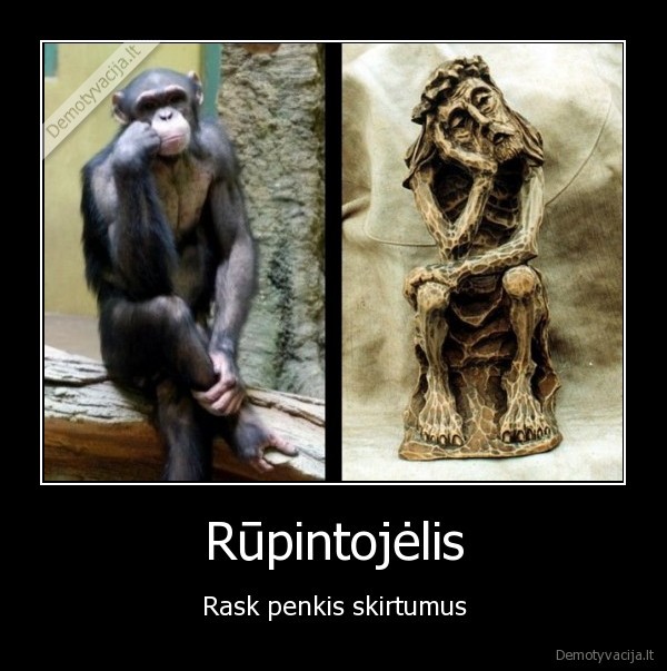 Rūpintojėlis - Rask penkis skirtumus