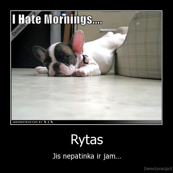 Rytas - Jis nepatinka ir jam...