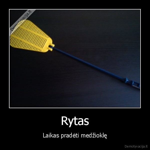 Rytas - Laikas pradėti medžioklę