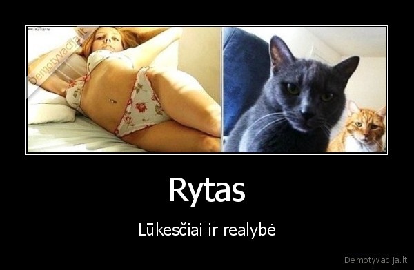 Rytas - Lūkesčiai ir realybė