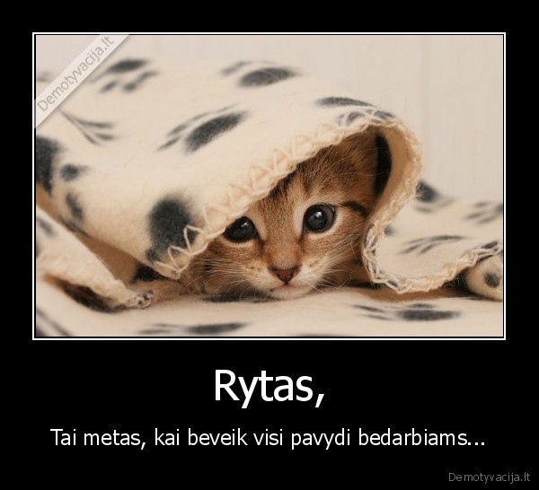 Rytas, - Tai metas, kai beveik visi pavydi bedarbiams...