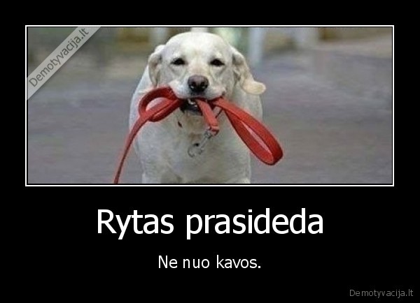 Rytas prasideda - Ne nuo kavos.