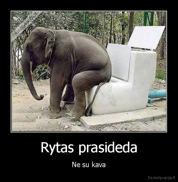 Rytas prasideda - Ne su kava