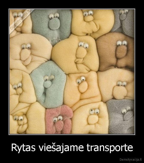 Rytas viešajame transporte - 