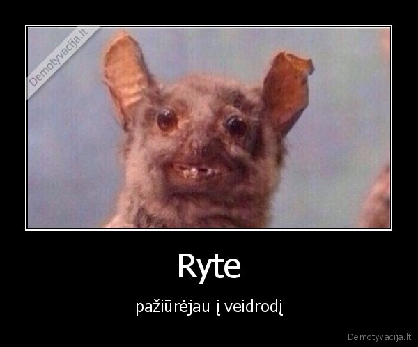 Ryte - pažiūrėjau į veidrodį