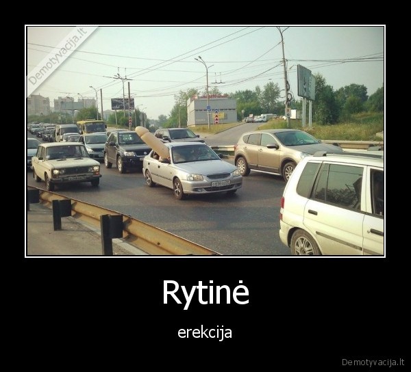 Rytinė - erekcija