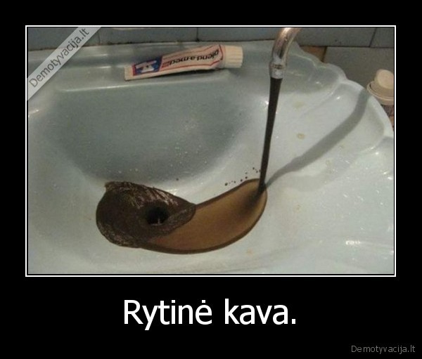 Rytinė kava. - 