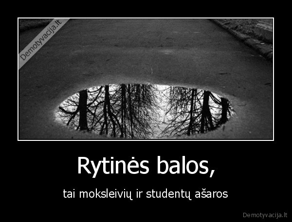 Rytinės balos, - tai moksleivių ir studentų ašaros