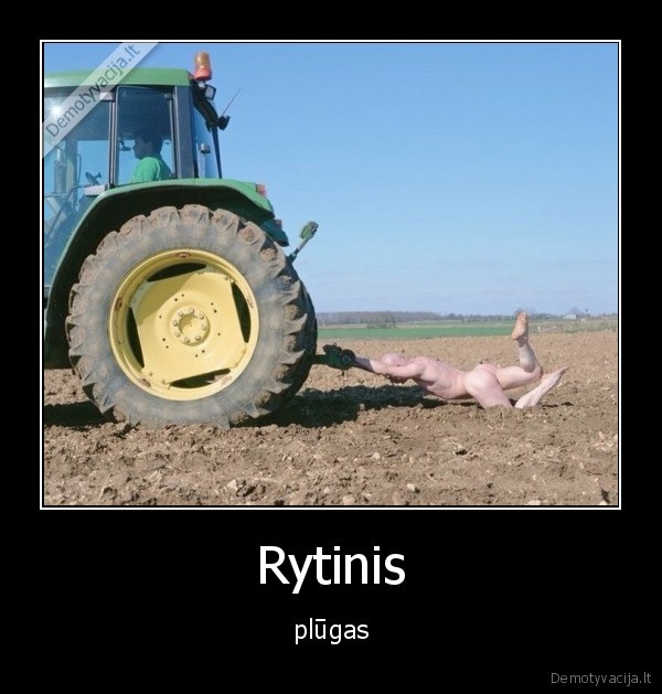 Rytinis - plūgas