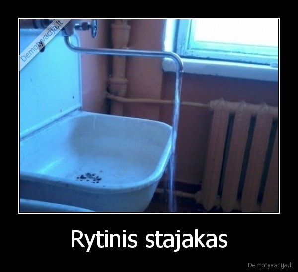 Rytinis stajakas - 