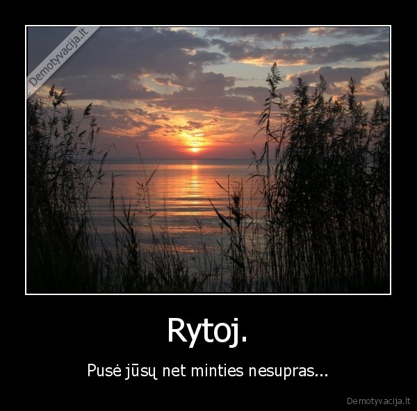 Rytoj. - Pusė jūsų net minties nesupras...