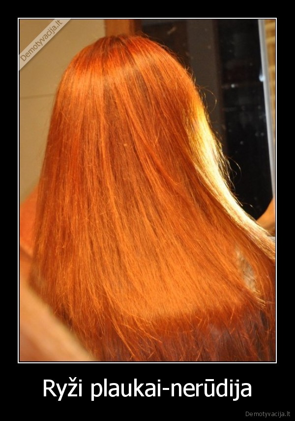 Ryži plaukai-nerūdija - 