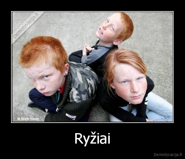 Ryžiai - 