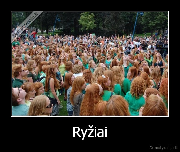 Ryžiai - 