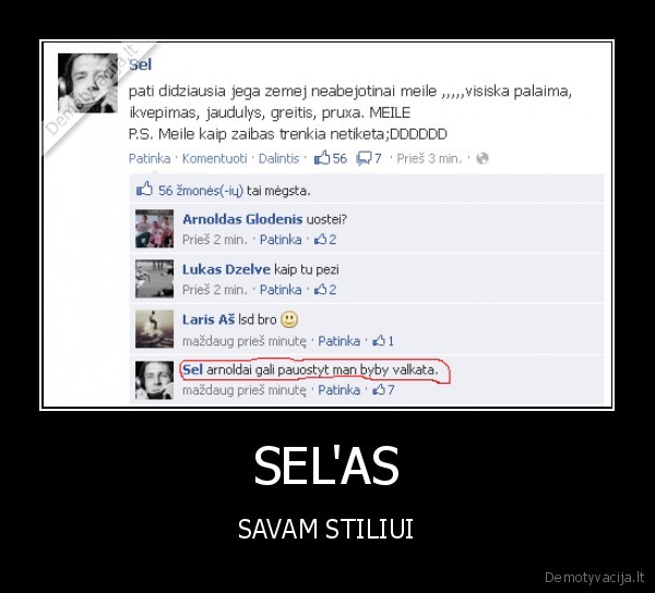 SEL'AS - SAVAM STILIUI