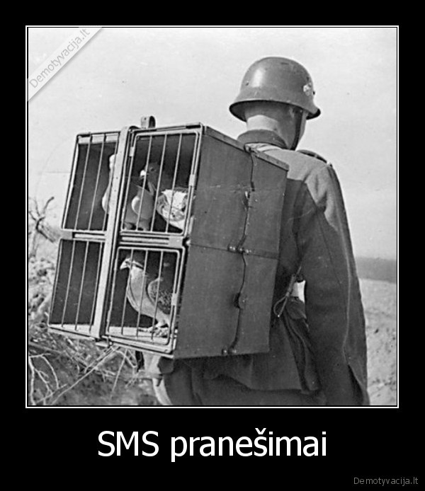 SMS pranešimai - 