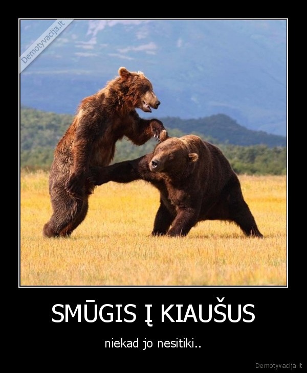 SMŪGIS Į KIAUŠUS - niekad jo nesitiki..