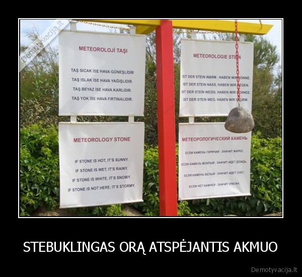 STEBUKLINGAS ORĄ ATSPĖJANTIS AKMUO - 