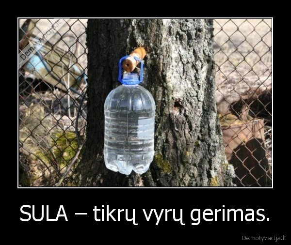 SULA – tikrų vyrų gerimas. - 