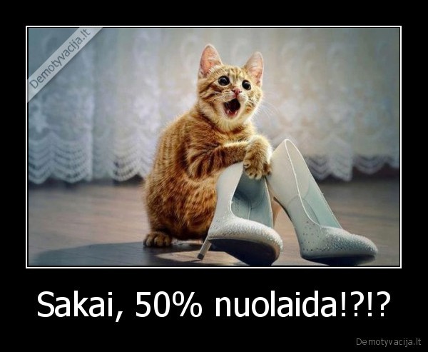 Sakai, 50% nuolaida!?!? - 