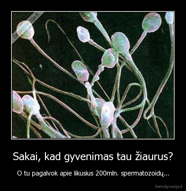 Sakai, kad gyvenimas tau žiaurus? - O tu pagalvok apie likusius 200mln. spermatozoidų...