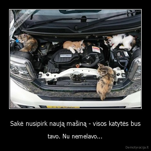 Sakė nusipirk naują mašiną - visos katytės bus - tavo. Nu nemelavo...