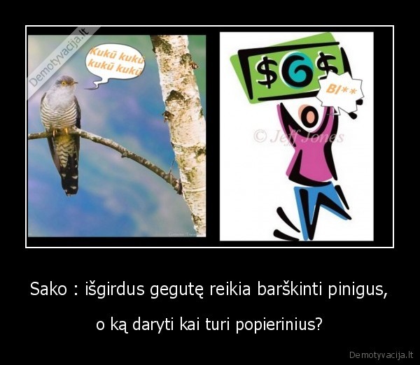 Sako : išgirdus gegutę reikia barškinti pinigus, - o ką daryti kai turi popierinius?