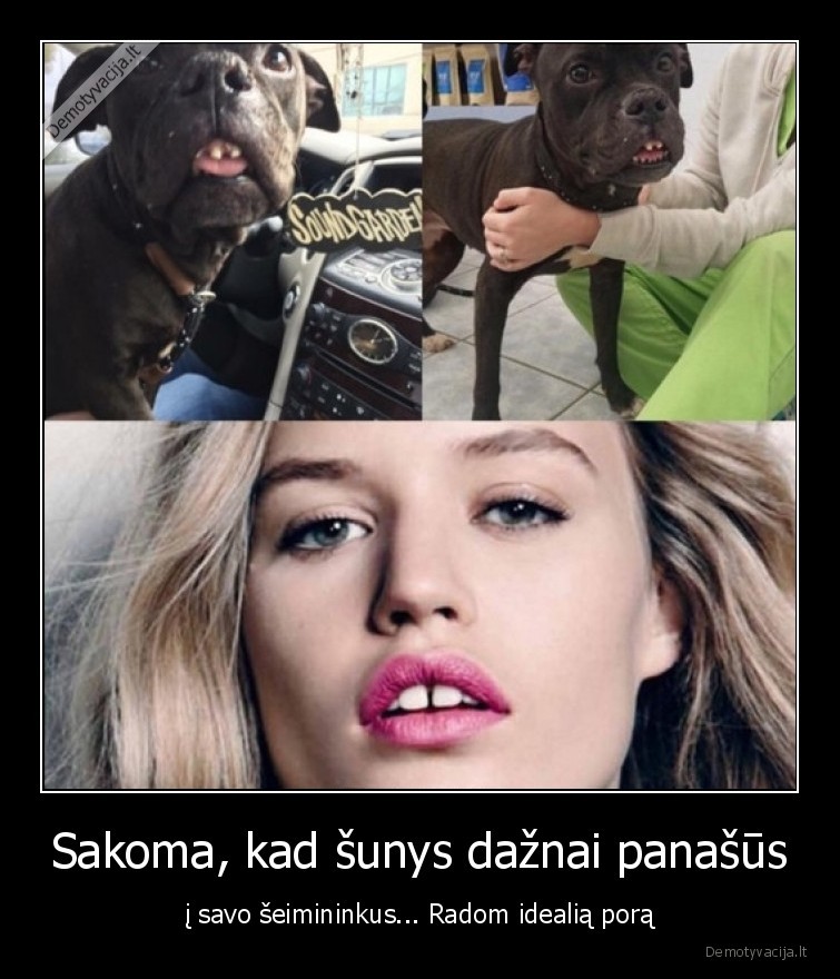 Sakoma, kad šunys dažnai panašūs - į savo šeimininkus... Radom idealią porą