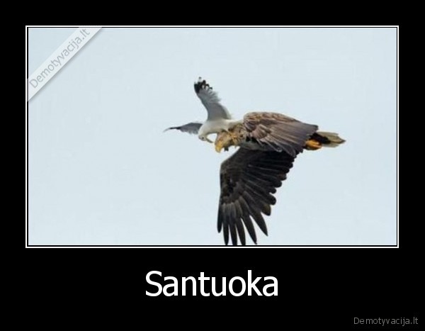 Santuoka - 