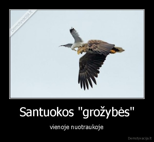 Santuokos "grožybės" - vienoje nuotraukoje