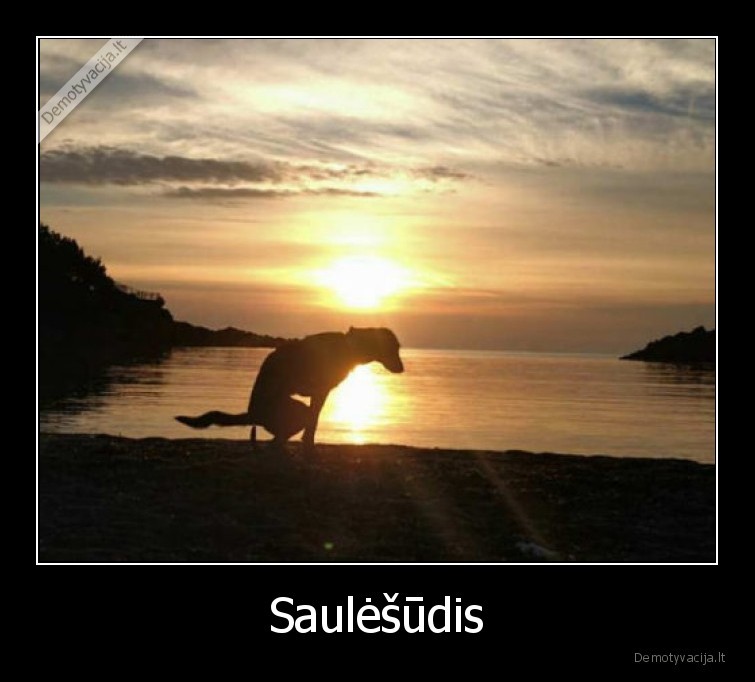 Saulėšūdis - 