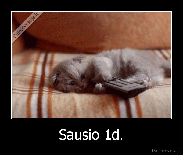 Sausio 1d. - 