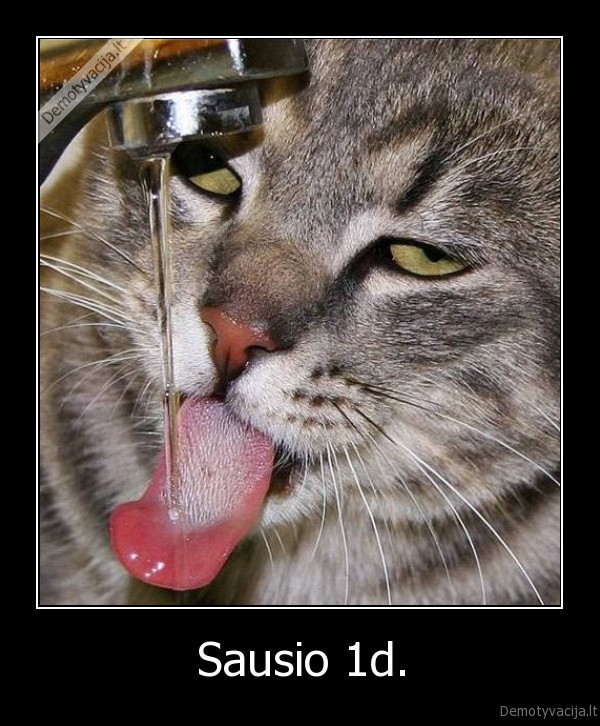 Sausio 1d. - 