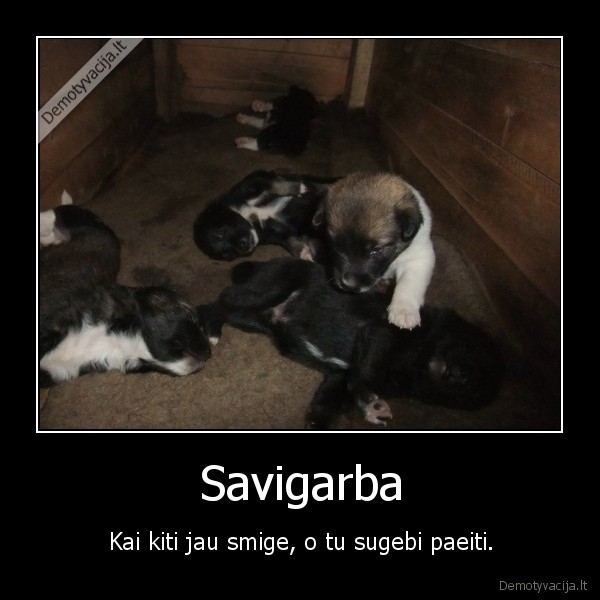 Savigarba - Kai kiti jau smige, o tu sugebi paeiti.