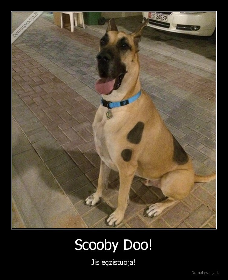 Scooby Doo! - Jis egzistuoja!