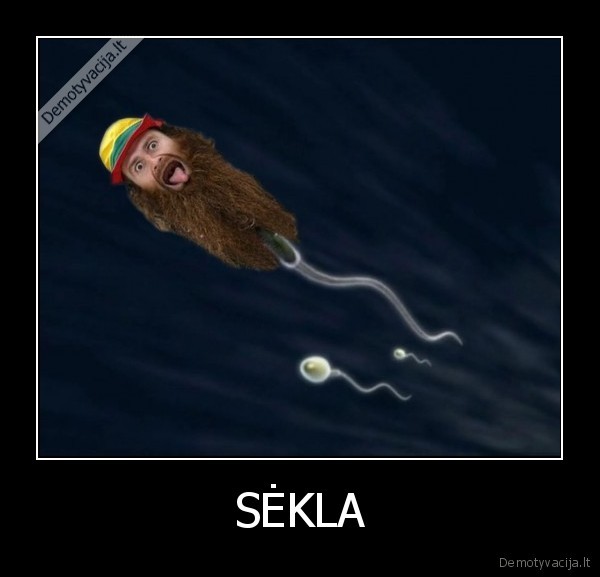 SĖKLA - 