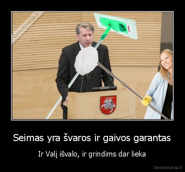 Seimas yra švaros ir gaivos garantas - Ir Valį išvalo, ir grindims dar lieka