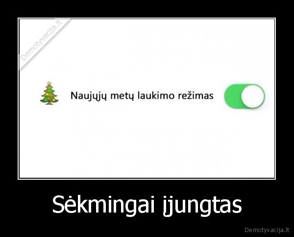 Sėkmingai įjungtas - 