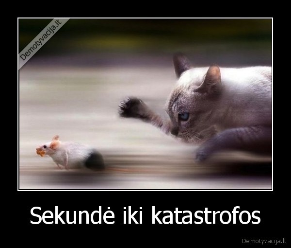 Sekundė iki katastrofos - 