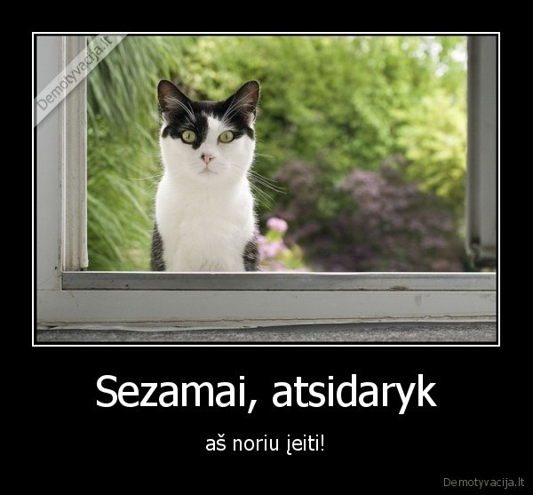 Sezamai, atsidaryk - aš noriu įeiti!