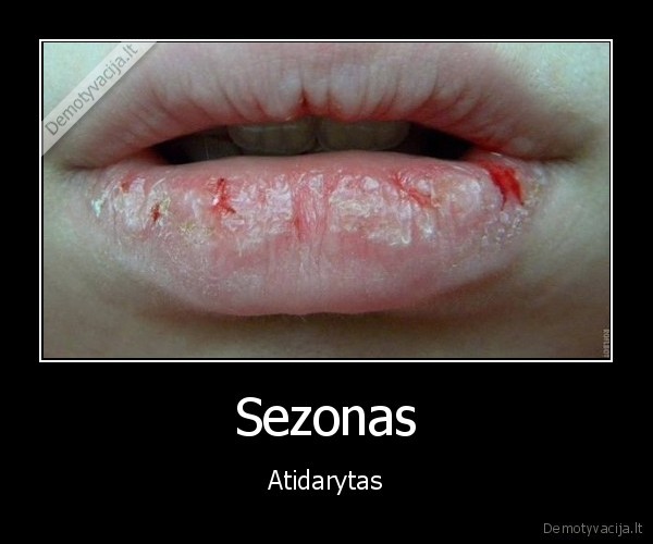 Sezonas - Atidarytas