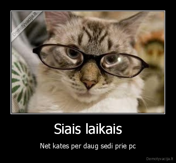 Siais laikais - Net kates per daug sedi prie pc