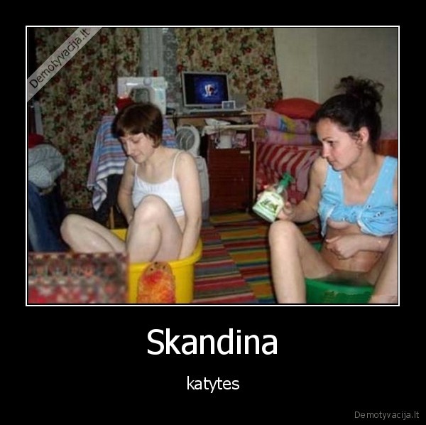 Skandina - katytes