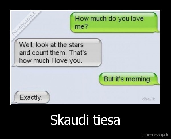 Skaudi tiesa - 