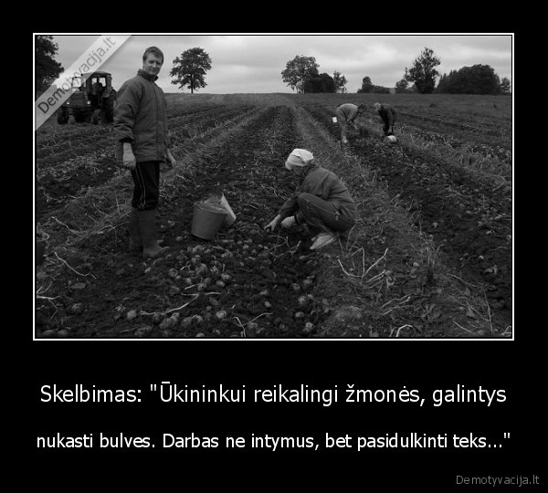 Skelbimas: "Ūkininkui reikalingi žmonės, galintys - nukasti bulves. Darbas ne intymus, bet pasidulkinti teks..."